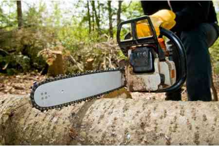 За 9 месяцев было возбуждено 107 уголовных дел по факту незаконной рубки деревьев в Тавуше